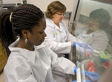 Queenster Nartey '16 and Shannon Hinsa-Leasure in the lab