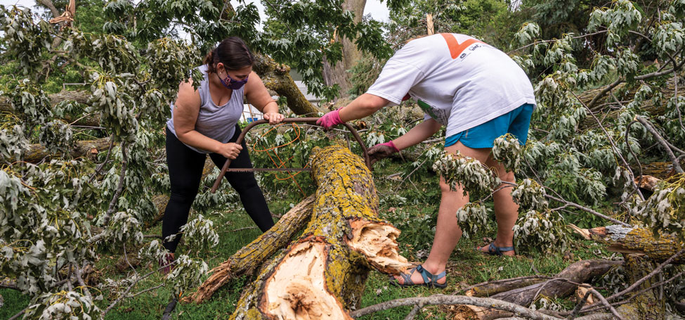 Two volunteers use a saw to cut up a large mossy downed tree limb