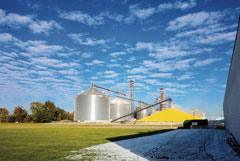 Sunny scene shows large corn silos with mound of golden corn under blue skies and fluffy clouds