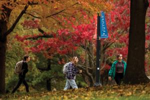 Students walking under the trees which are covered in fall foliage