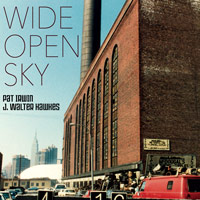 Cover of Wide Open Sky