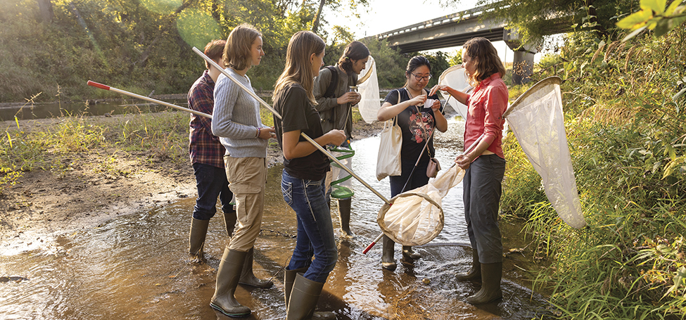 Students in rubber boots and carrying long-handled nets stand in a shallow creek