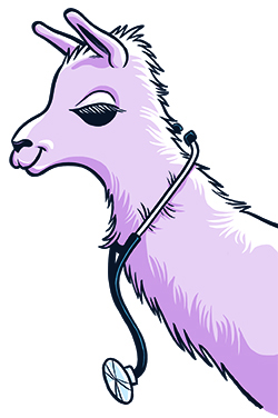 Illustration of a llama with a stethoscope 