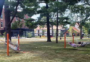 parents relaxing in the shaded hammocks near Noyce Science Center