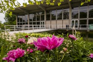 Burling Library in the spring