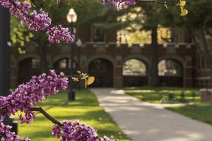 Campus shot with purple blooms on trees