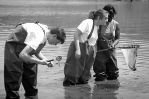 Black & White image with three people in waders viewing samples dipped from the pond they are in